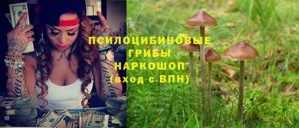 2c-b Богданович