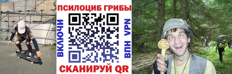 Галлюциногенные грибы Magic Shrooms  кракен ссылки  Городец 