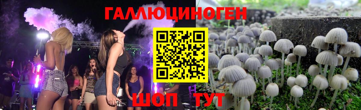 Галлюциногенные грибы Psilocybine cubensis Городец