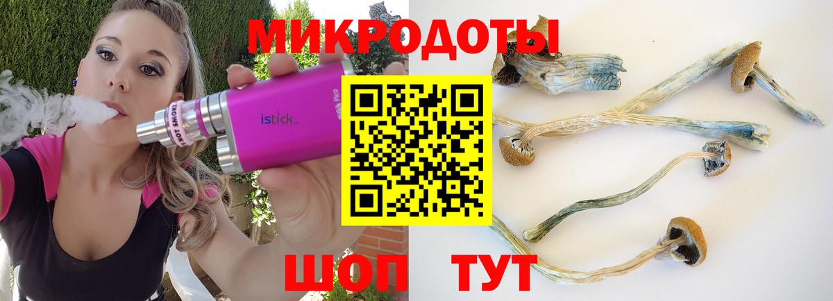 Псилоцибиновые грибы мухоморы  Городец  Галлюциногенные грибы мицелий 