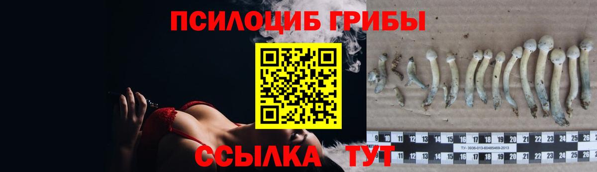 Галлюциногенные грибы Psilocybine cubensis  Вход с VPN  сколько стоит  Городец 