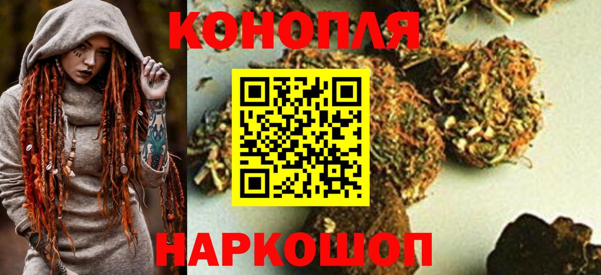 Каннабис OG Kush Городец